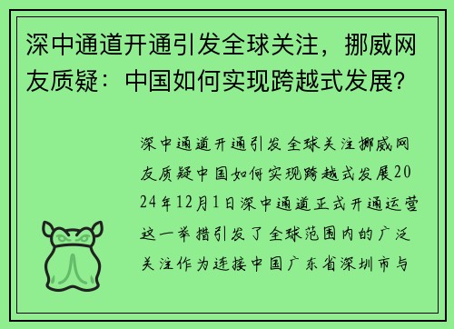 深中通道开通引发全球关注，挪威网友质疑：中国如何实现跨越式发展？