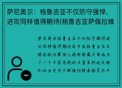 萨尼奥尔：格鲁吉亚不仅防守强悍，进攻同样值得期待(格鲁吉亚萨佩拉维)